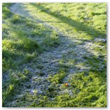 DSCF6681