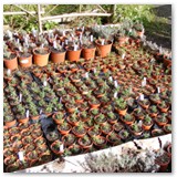 2012_1014new0005